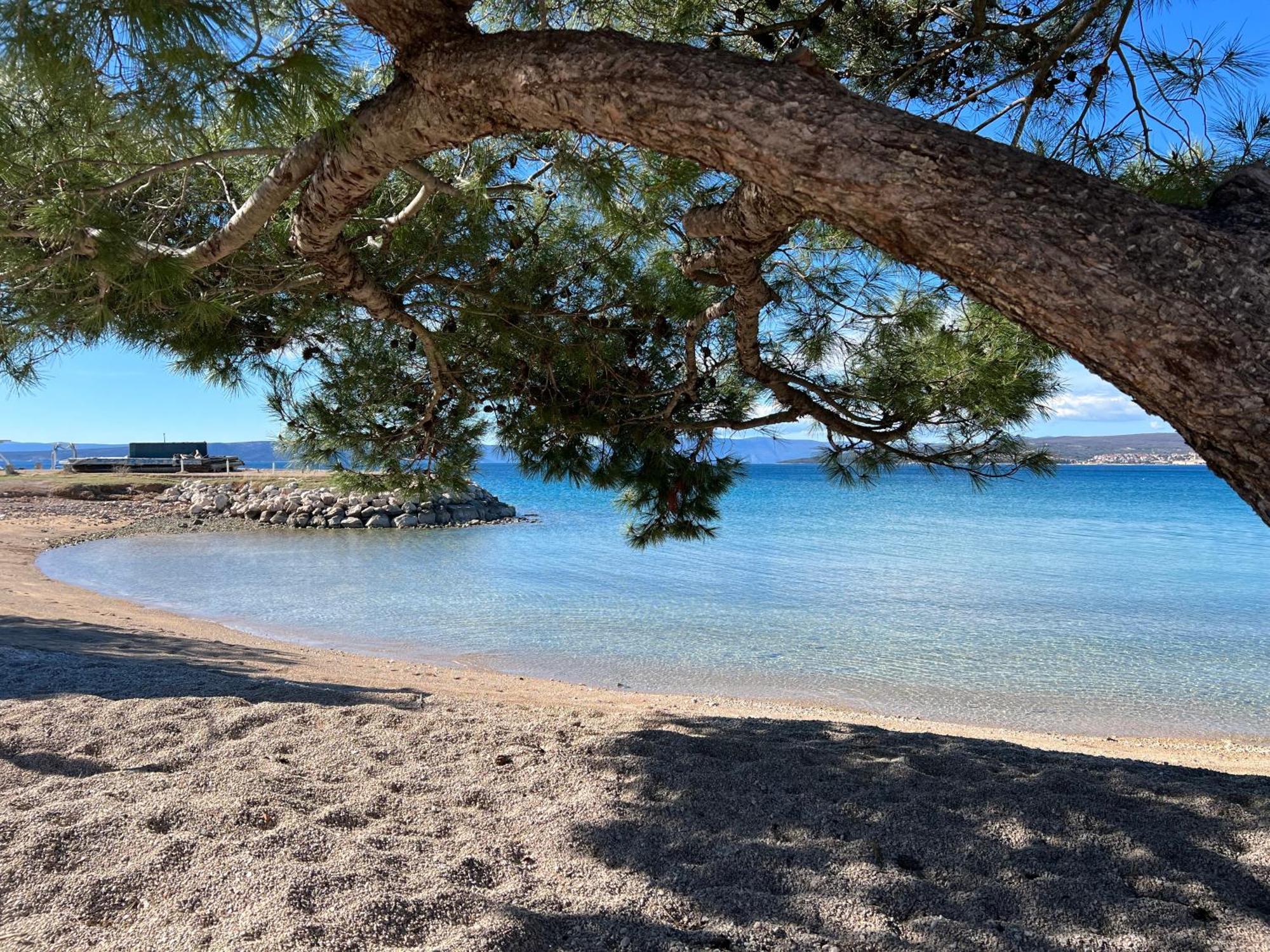Laguna *